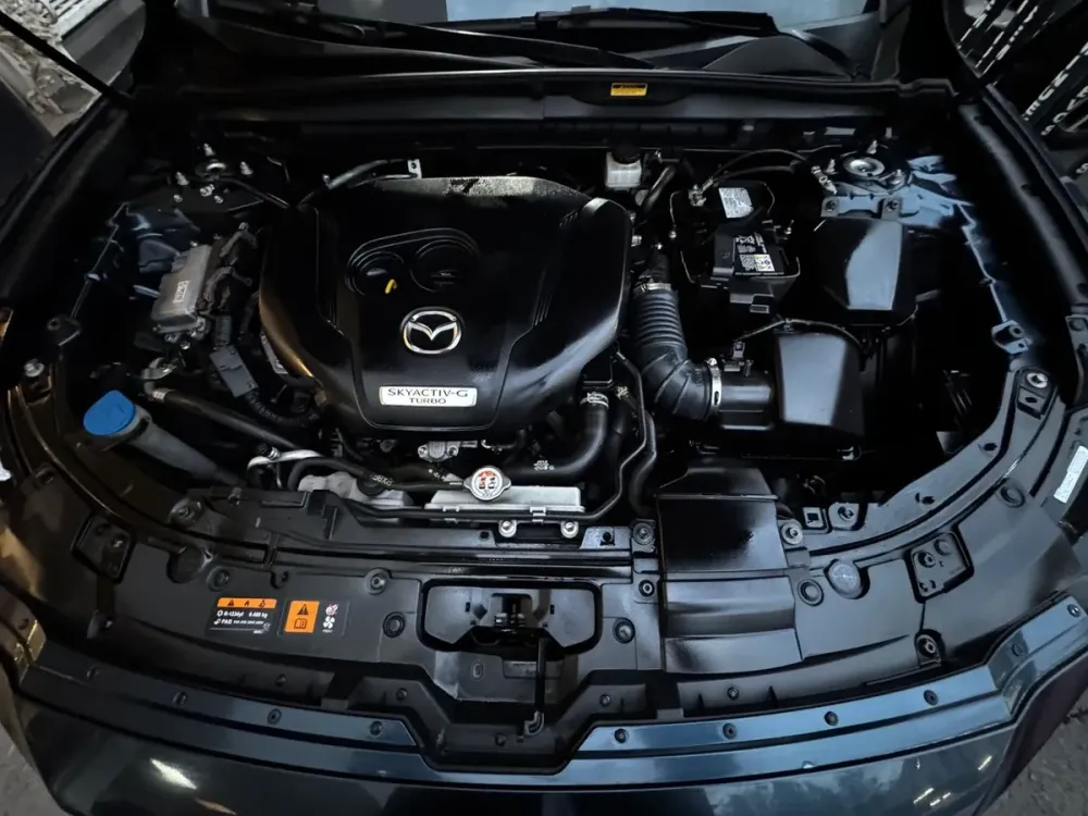 Fotografía en tamaño completo