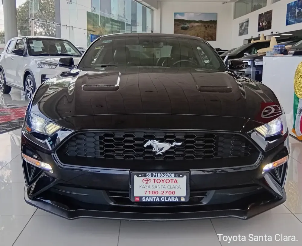 Fotografía en tamaño completo