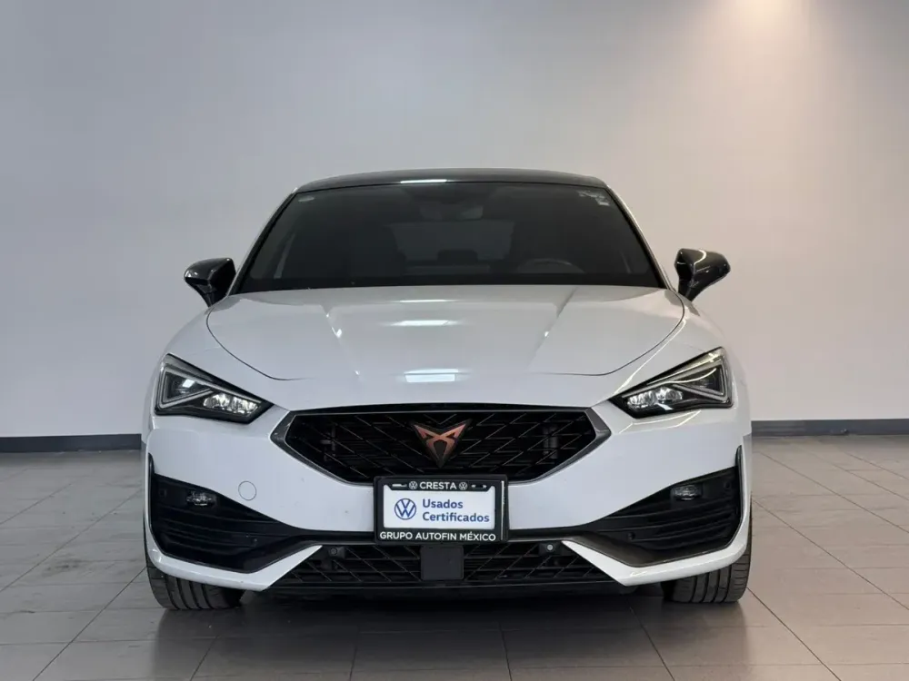 Fotografía en tamaño completo