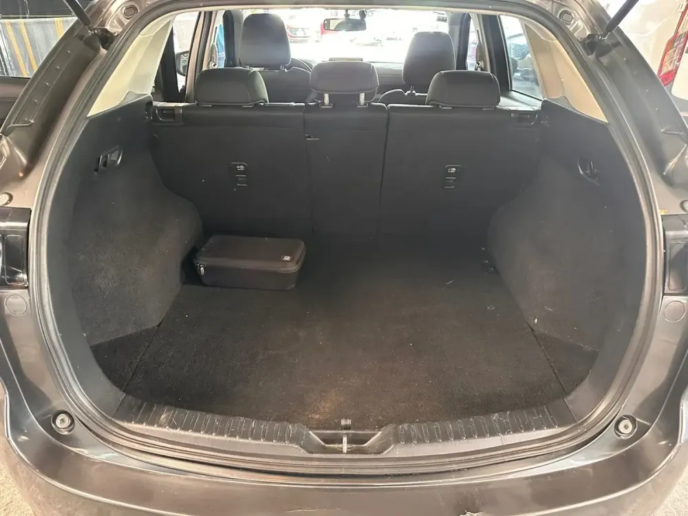 Fotografía en tamaño completo