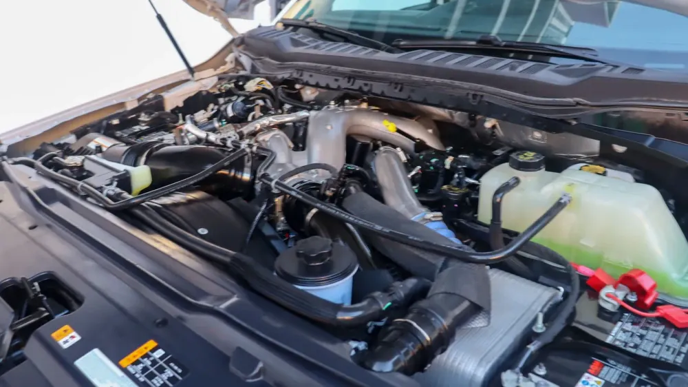 Fotografía en tamaño completo