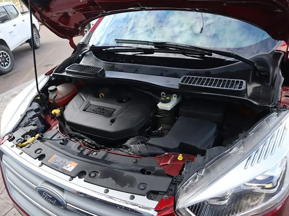 Fotografía en tamaño completo