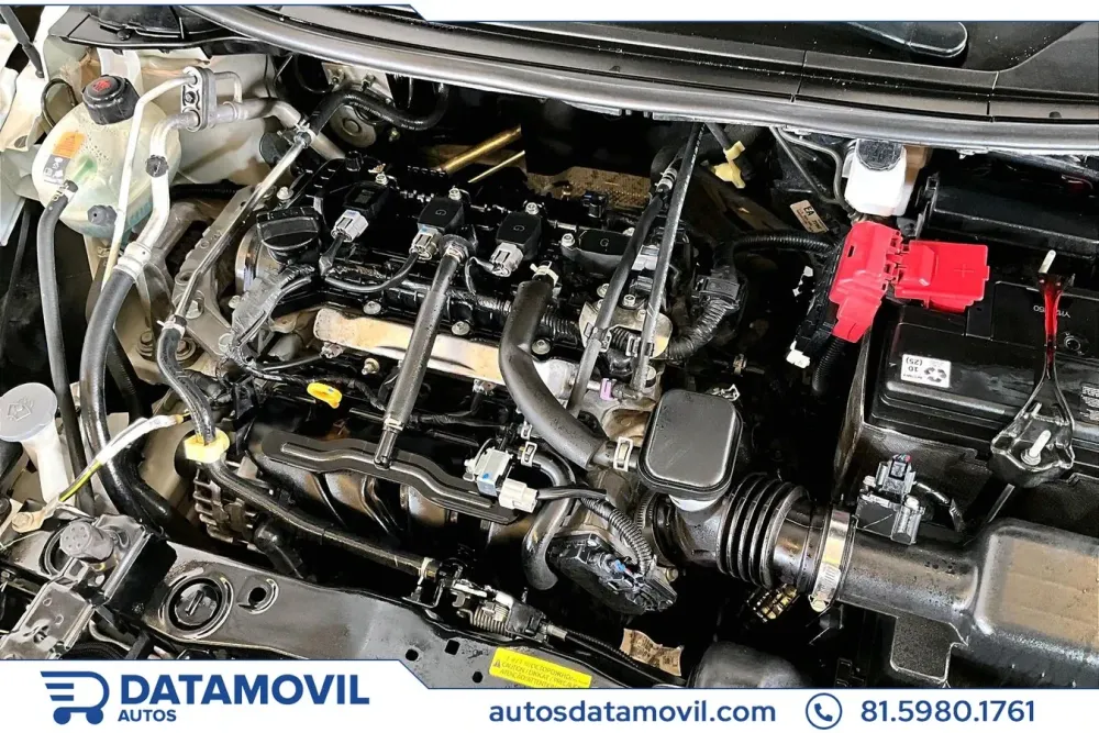 Fotografía en tamaño completo