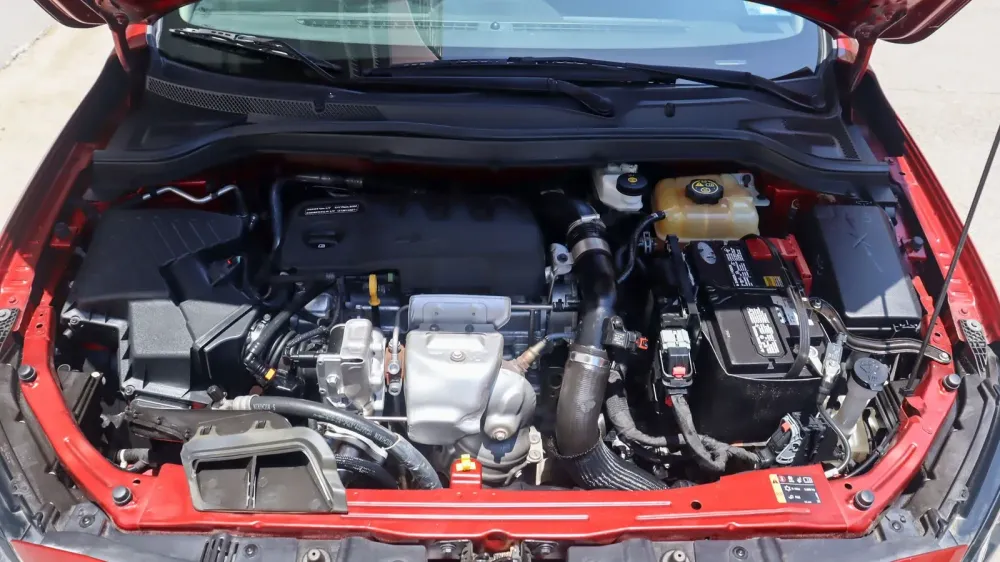 Fotografía en tamaño completo