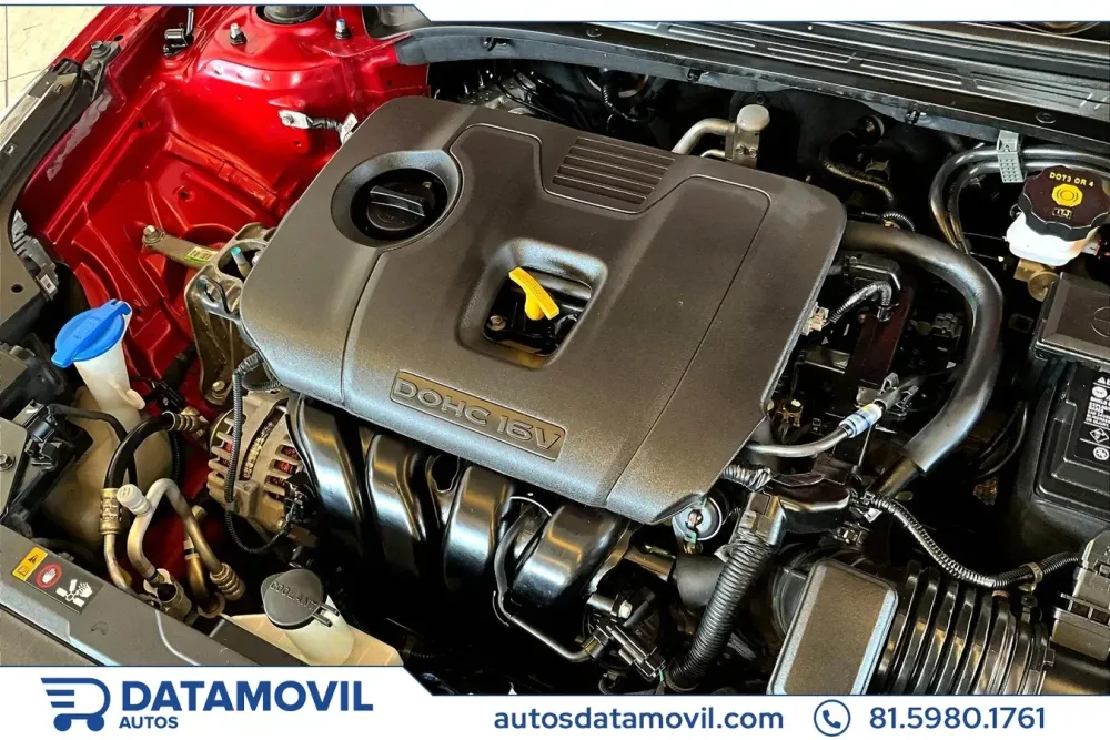 Fotografía en tamaño completo