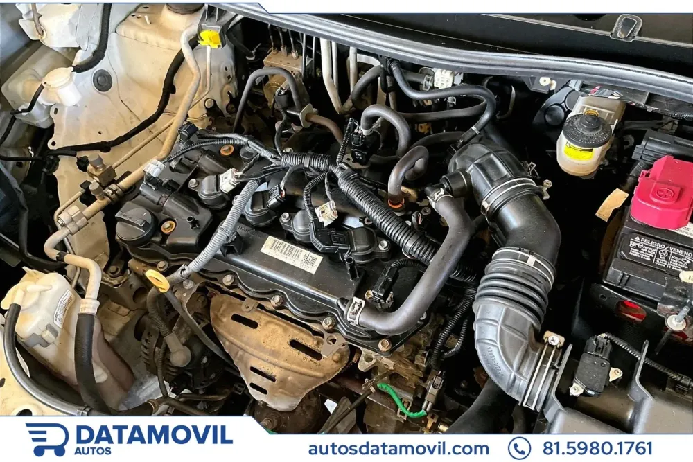 Fotografía en tamaño completo