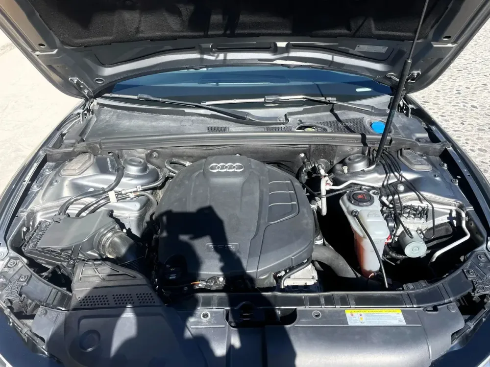 Fotografía en tamaño completo