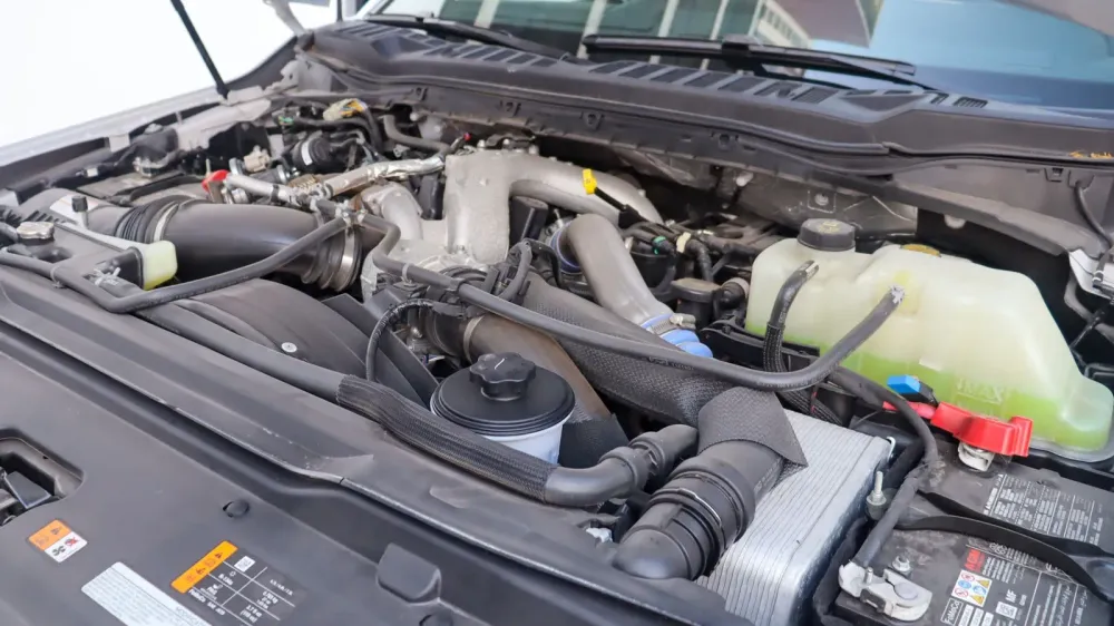 Fotografía en tamaño completo