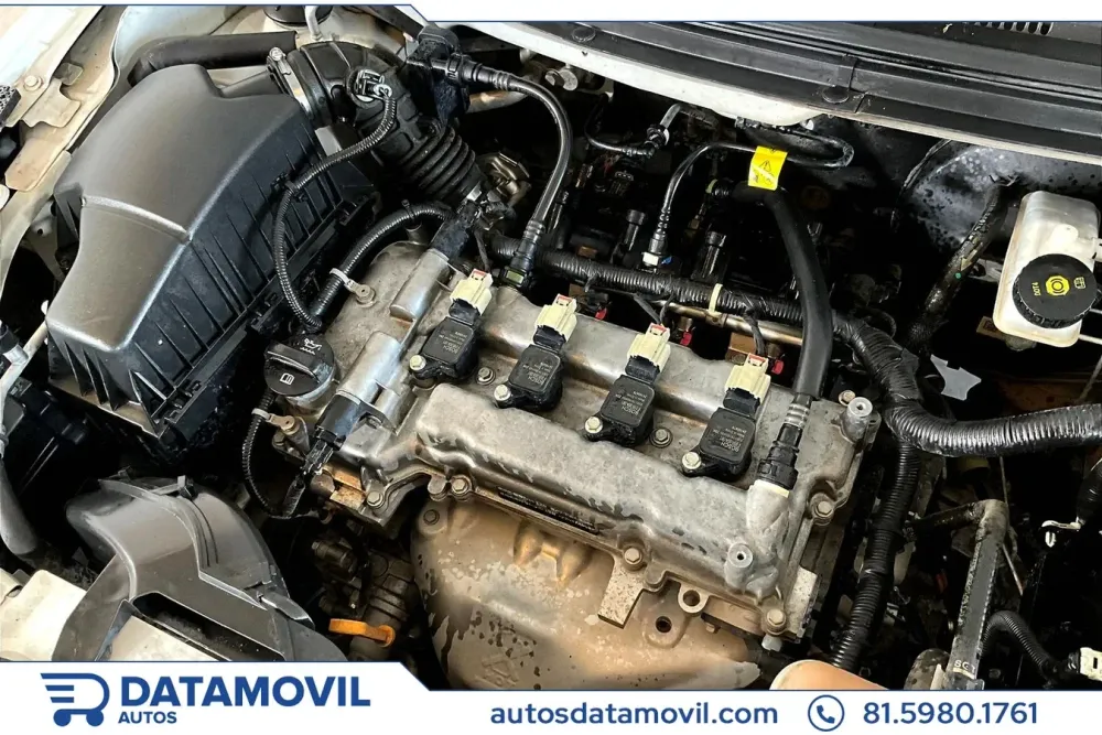 Fotografía en tamaño completo