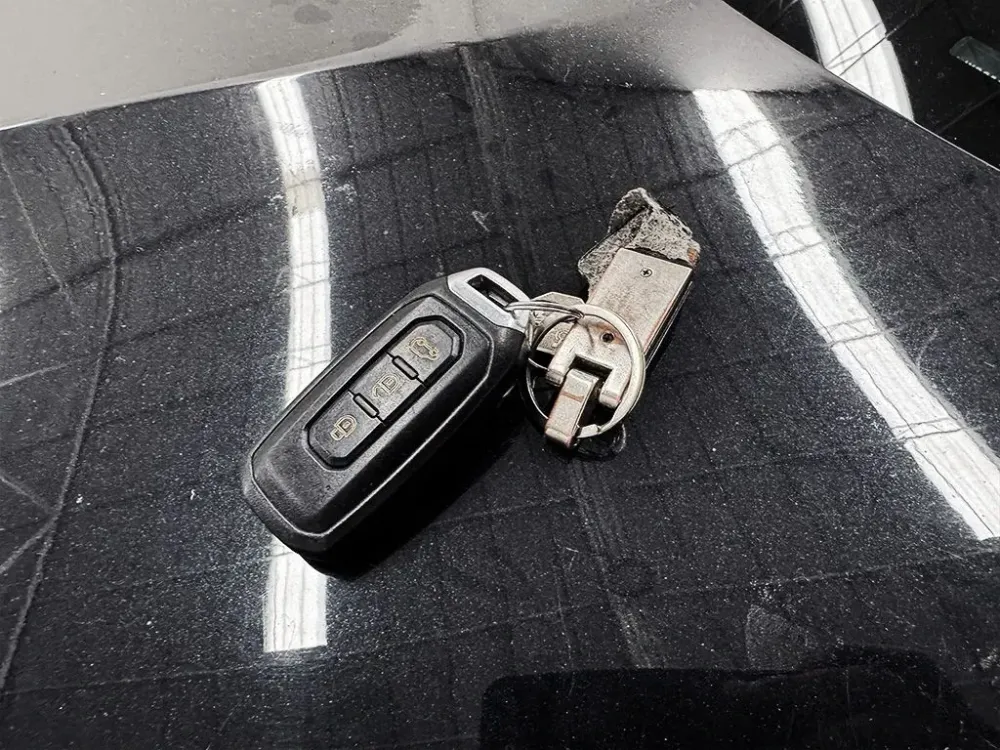 Fotografía en tamaño completo