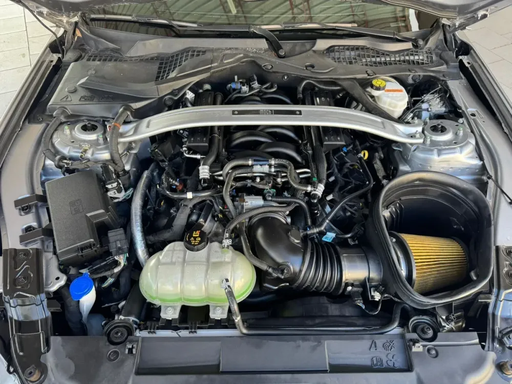 Fotografía en tamaño completo