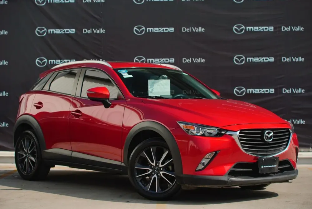 Fotografía en tamaño completo