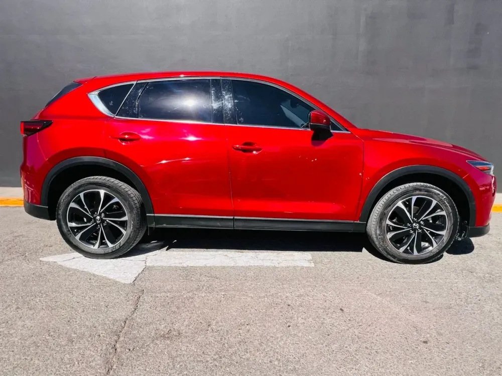 Fotografía en tamaño completo