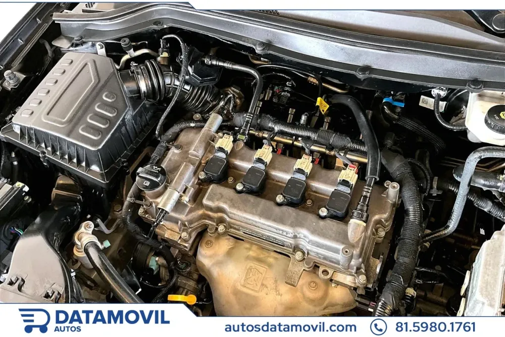 Fotografía en tamaño completo