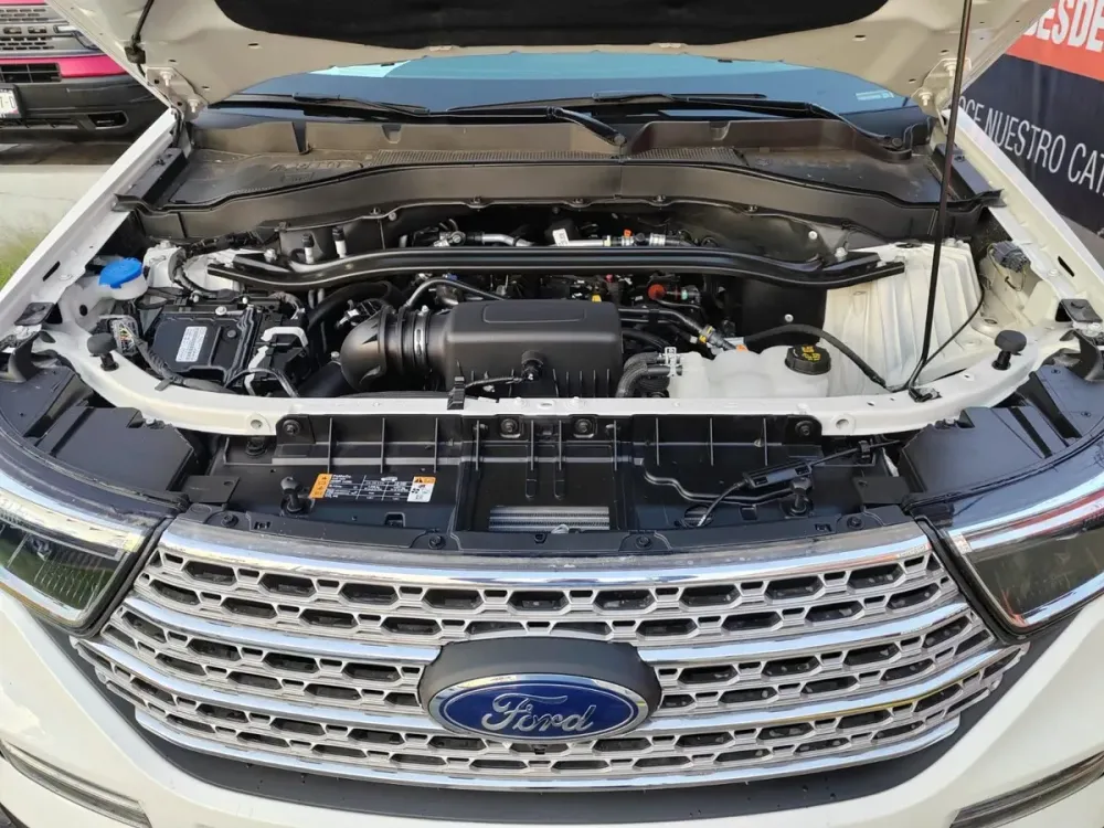 Fotografía en tamaño completo