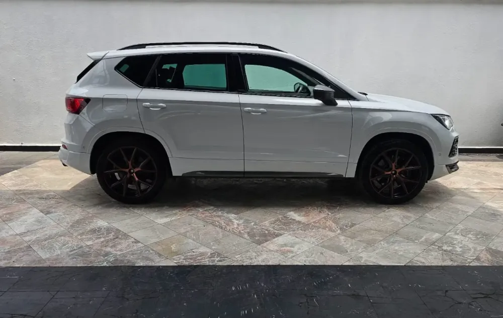 Fotografía en tamaño completo