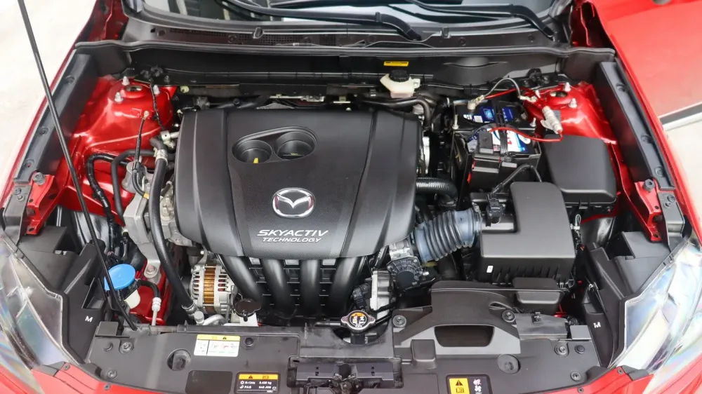 Fotografía en tamaño completo