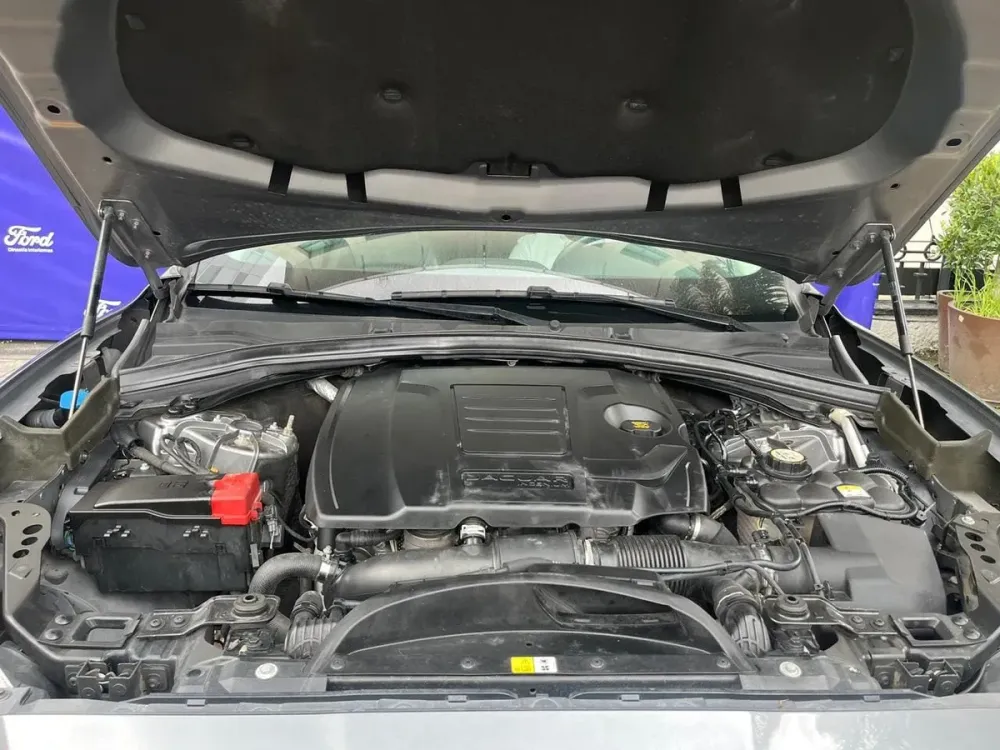 Fotografía en tamaño completo