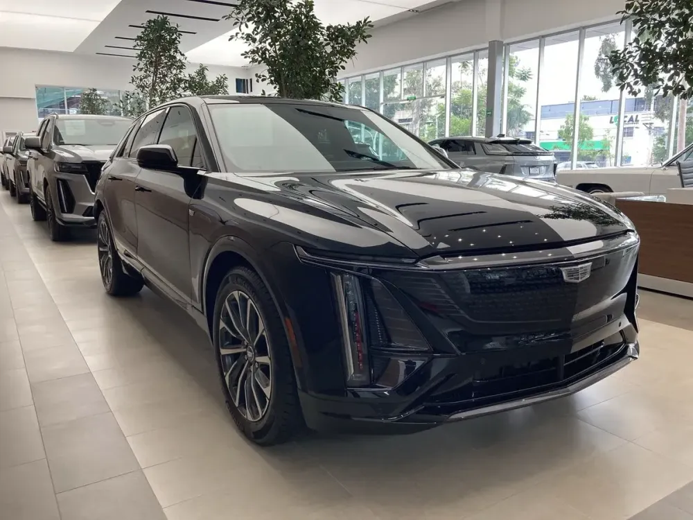 Fotografía en tamaño completo