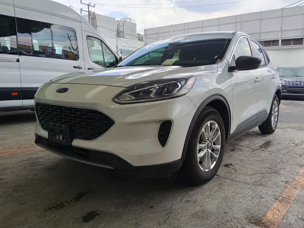 Fotografía en tamaño completo