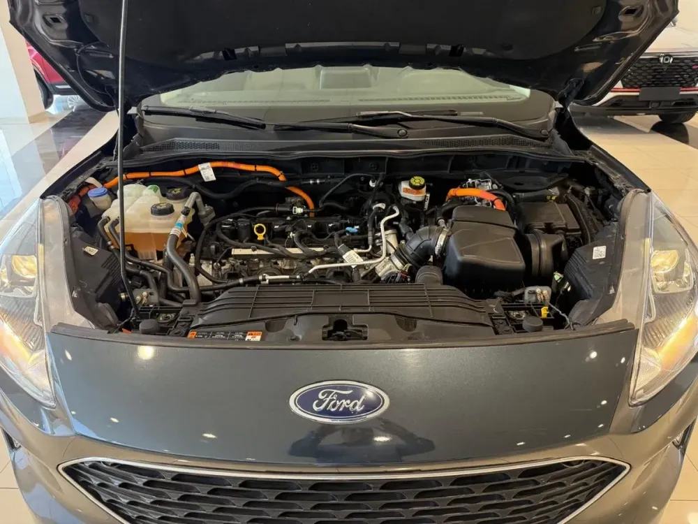 Fotografía en tamaño completo