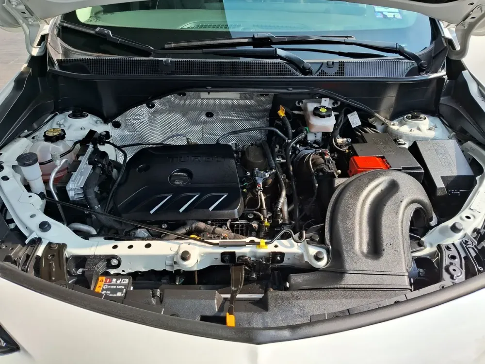 Fotografía en tamaño completo