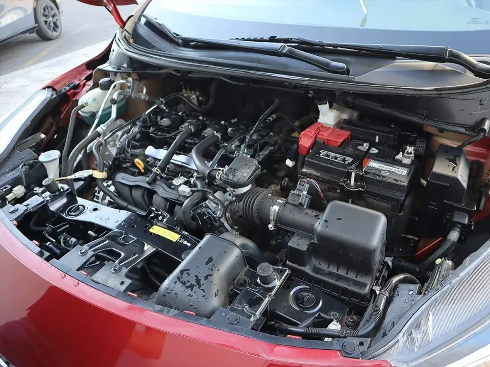 Fotografía en tamaño completo