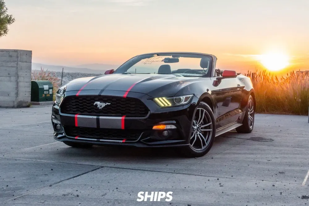 Fotografía en tamaño completo