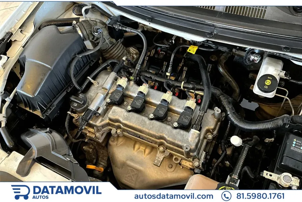 Fotografía en tamaño completo