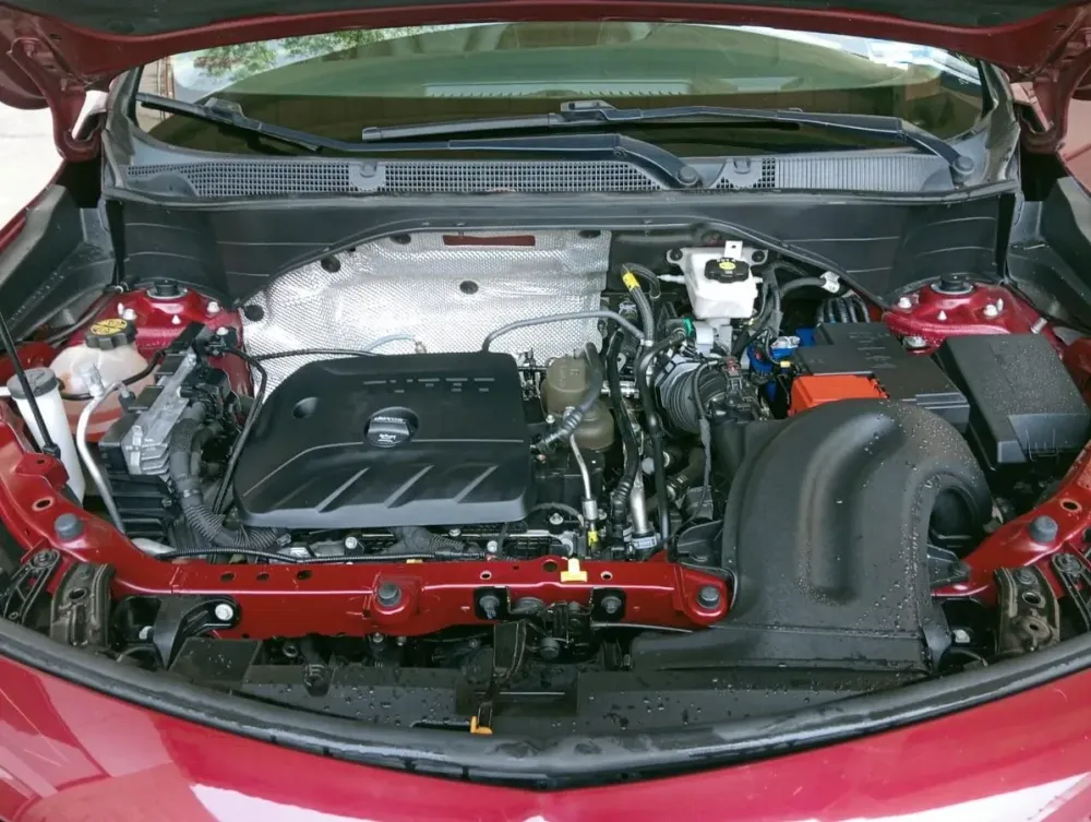 Fotografía en tamaño completo