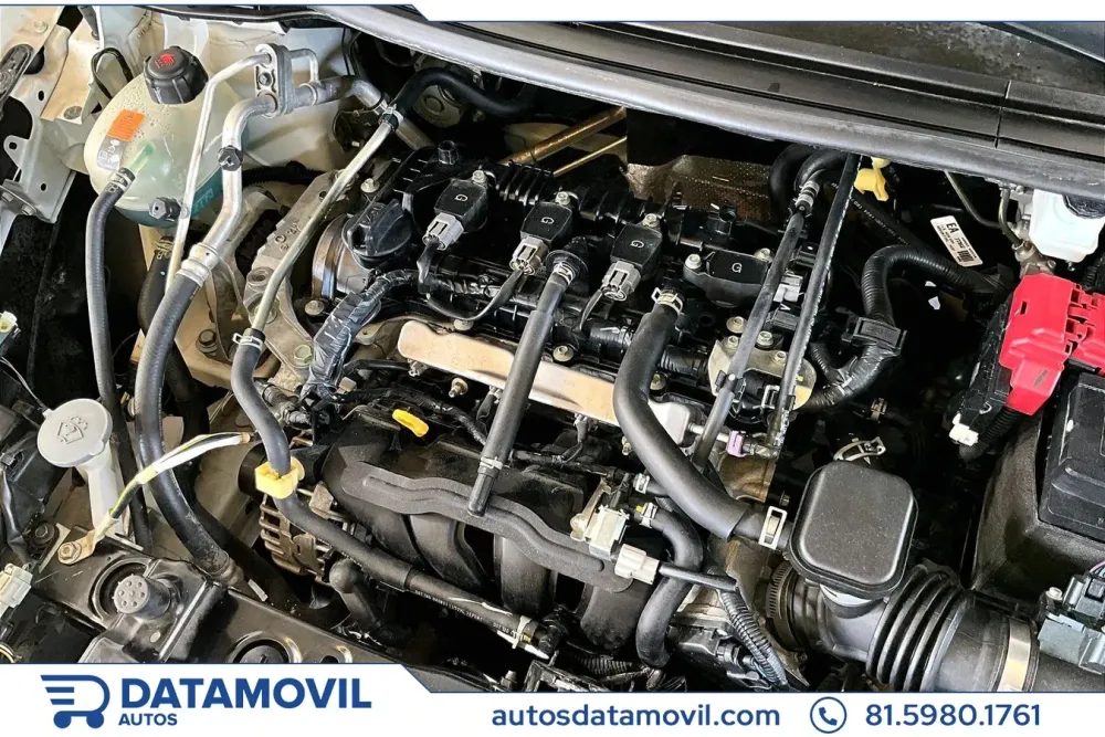 Fotografía en tamaño completo