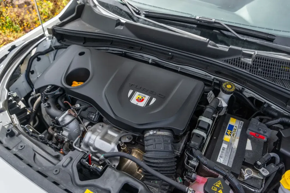 Fotografía en tamaño completo