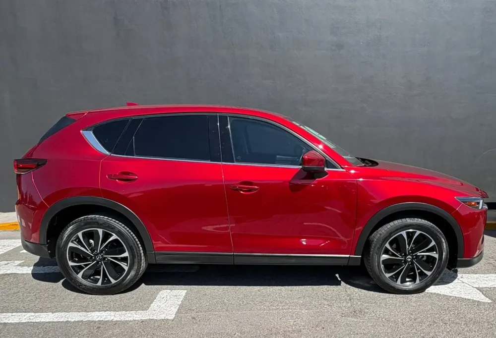 Fotografía en tamaño completo