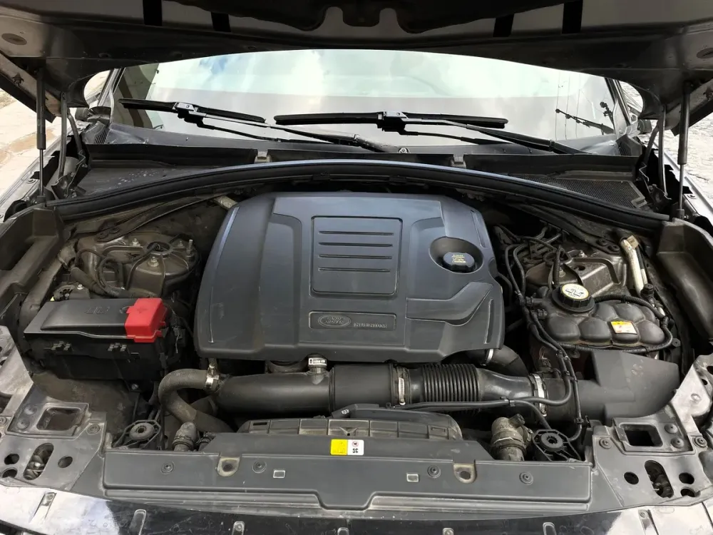 Fotografía en tamaño completo