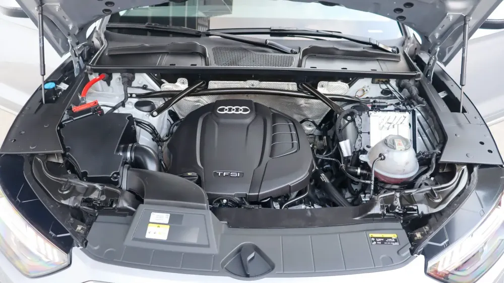 Fotografía en tamaño completo