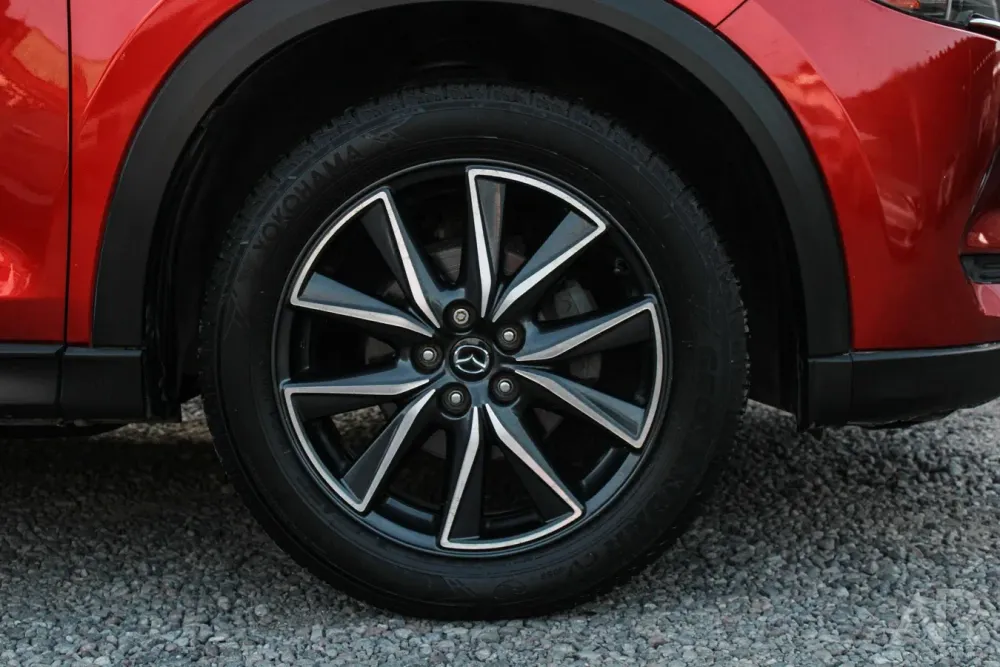 Fotografía en tamaño completo