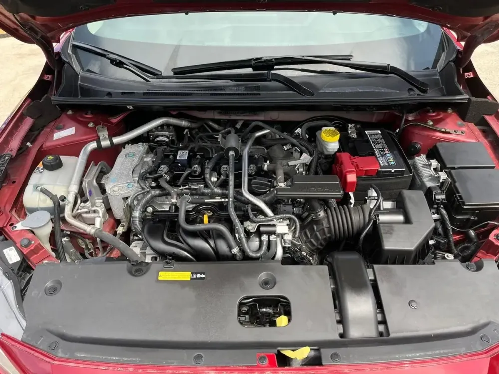 Fotografía en tamaño completo