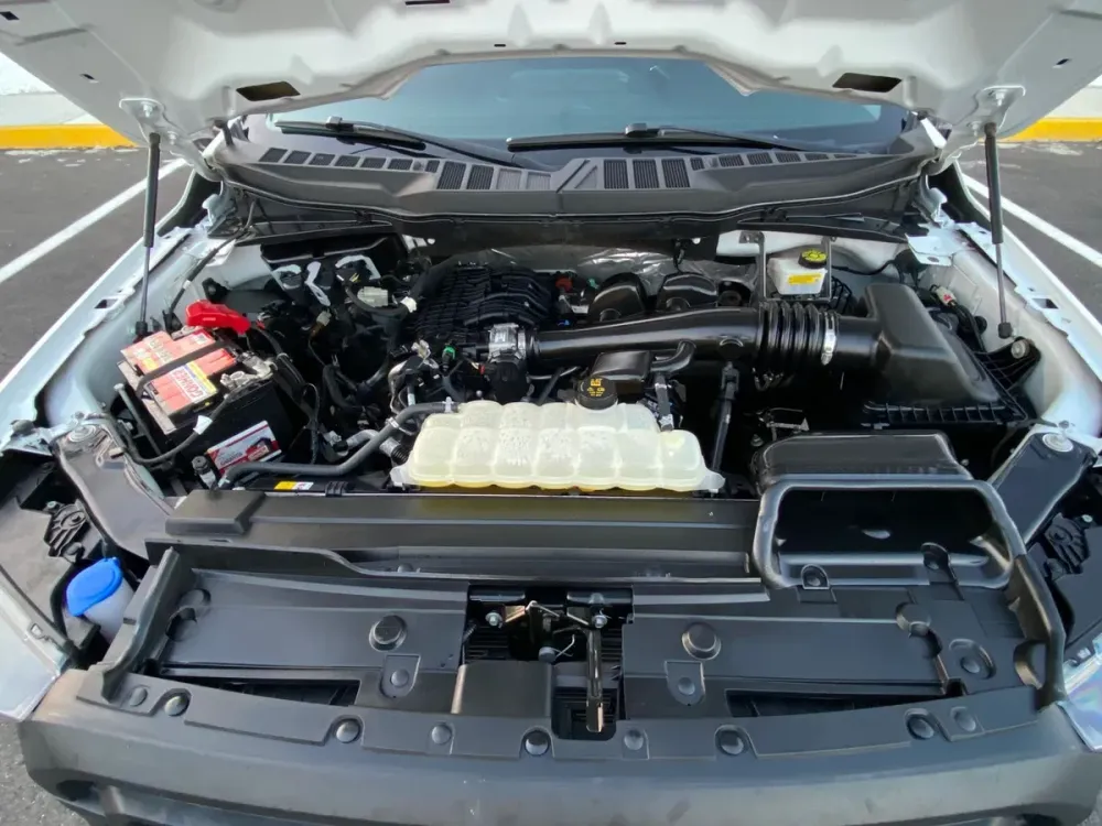 Fotografía en tamaño completo