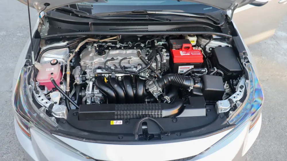 Fotografía en tamaño completo