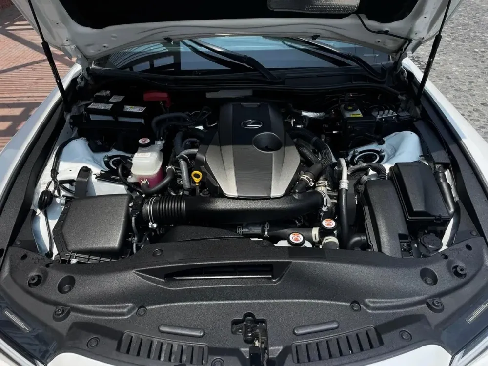 Fotografía en tamaño completo