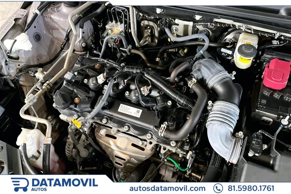 Fotografía en tamaño completo