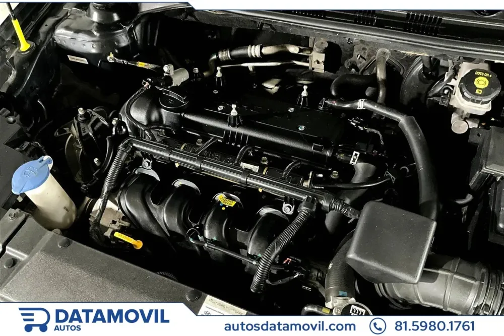 Fotografía en tamaño completo