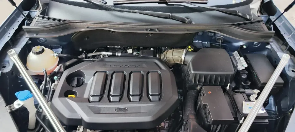 Fotografía en tamaño completo