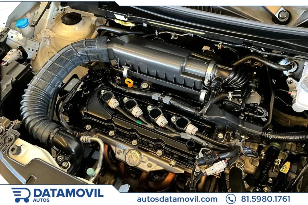 Fotografía en tamaño completo