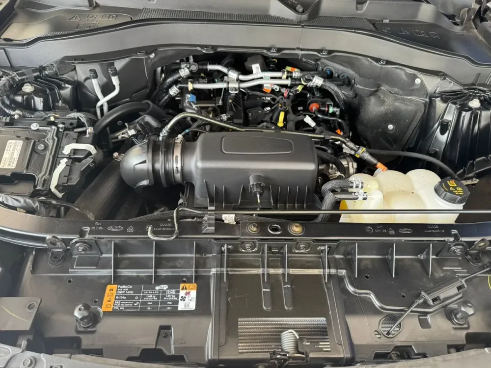 Fotografía en tamaño completo