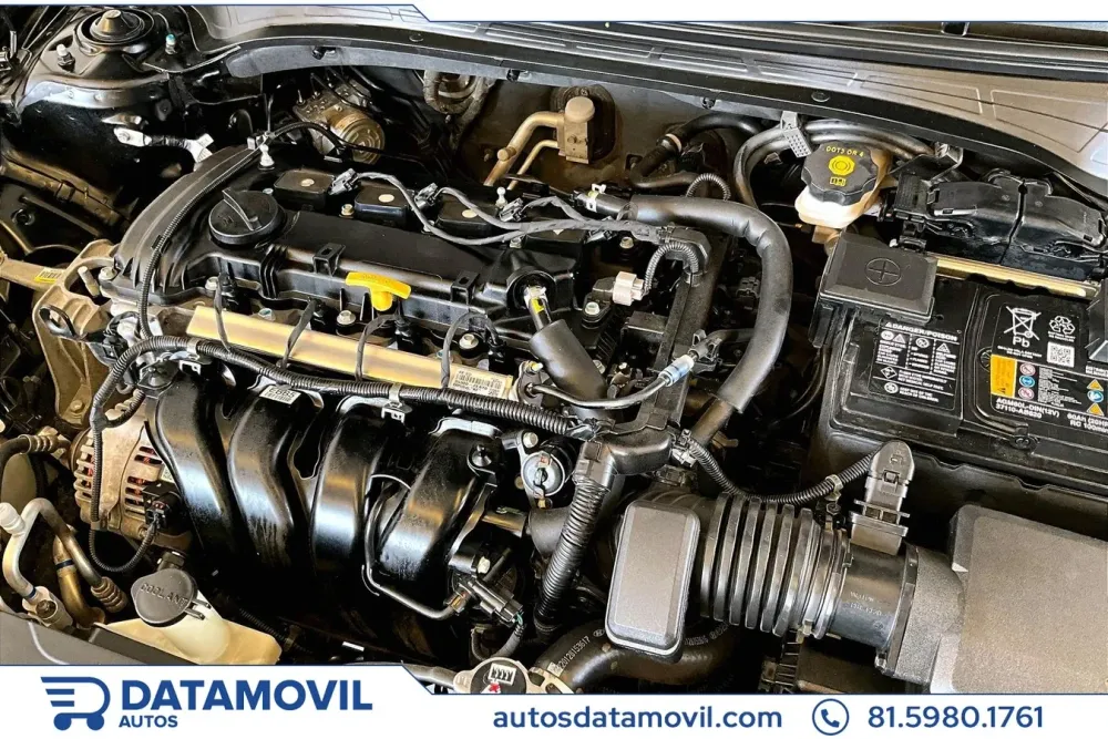 Fotografía en tamaño completo