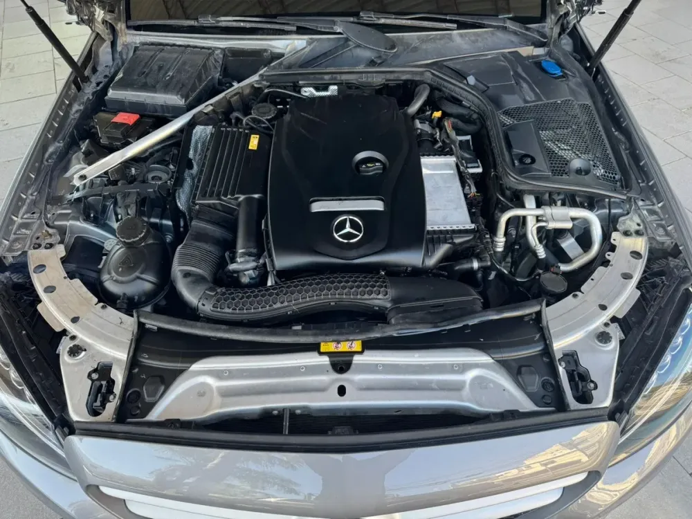 Fotografía en tamaño completo