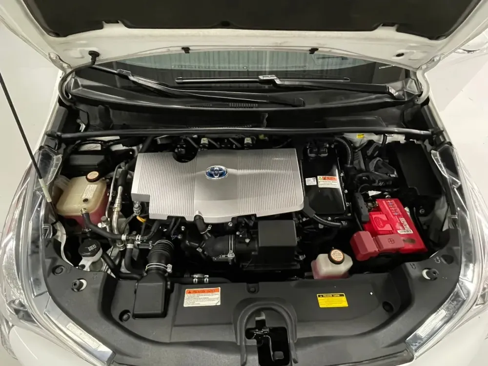 Fotografía en tamaño completo