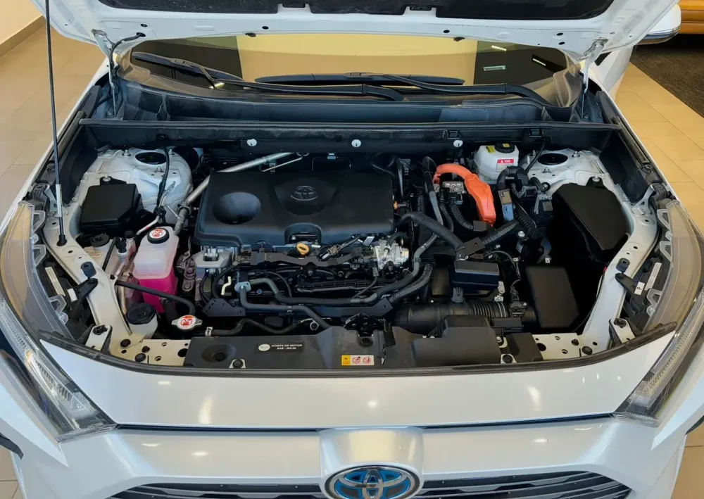 Fotografía en tamaño completo