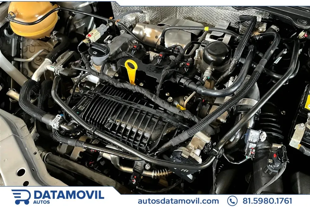 Fotografía en tamaño completo